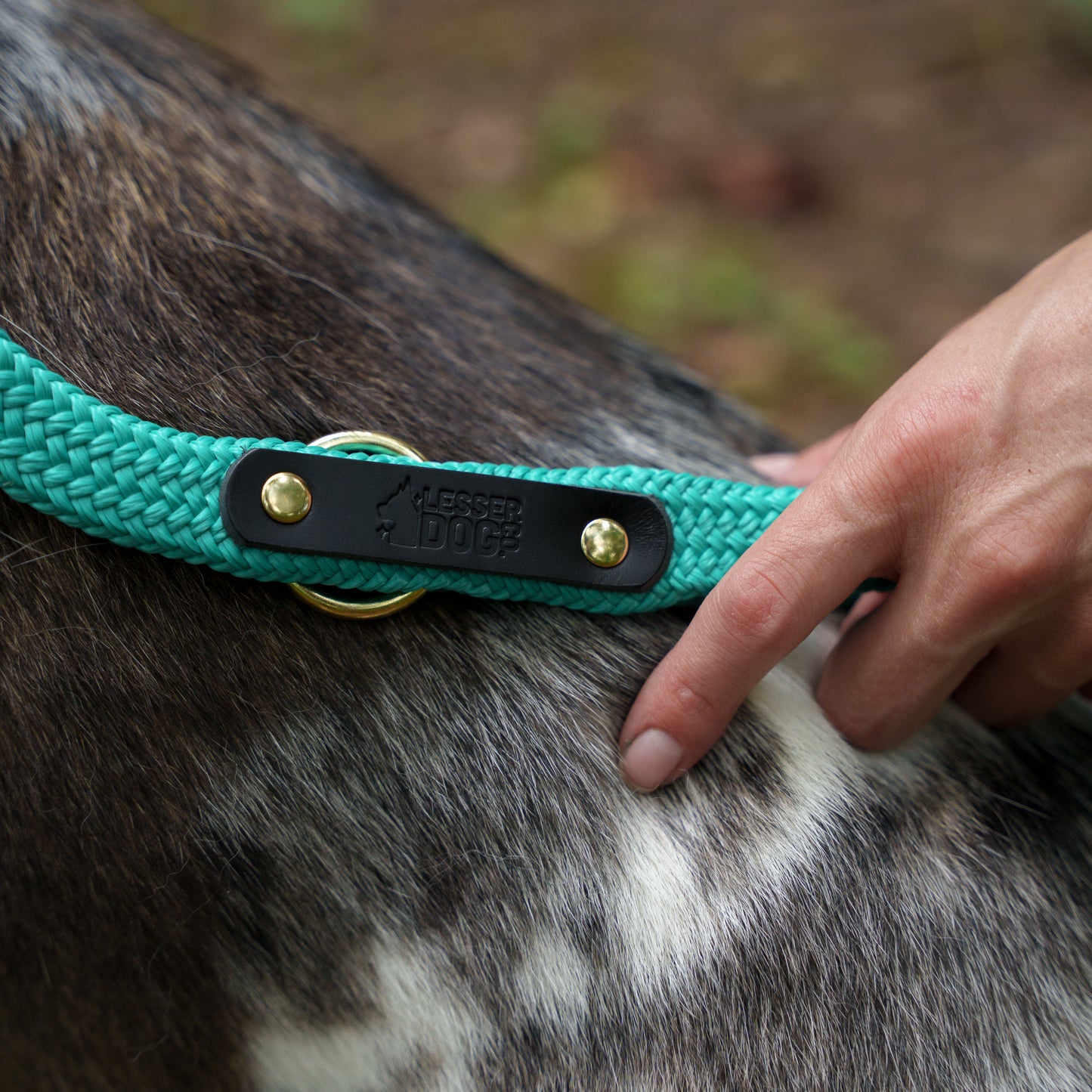 Closeup of leather patch on rope leash Eclipse Sand Glacier Aurora