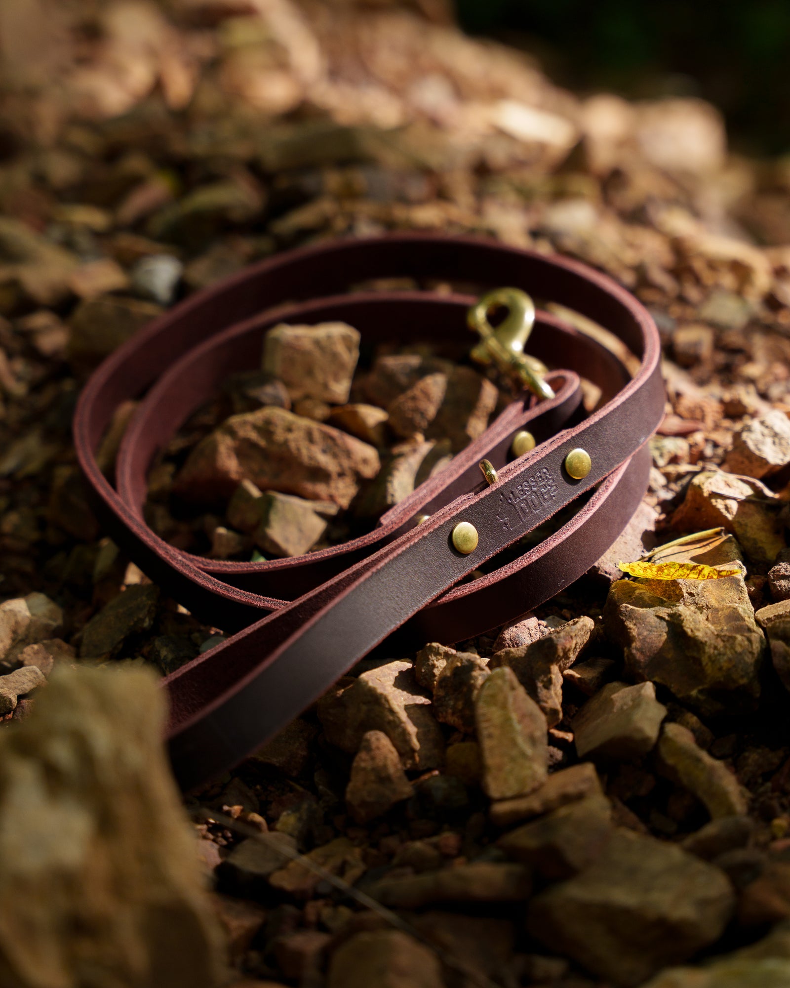 Brown leather belt with gold studs on a rocky surface Garnet Eclipse Terra