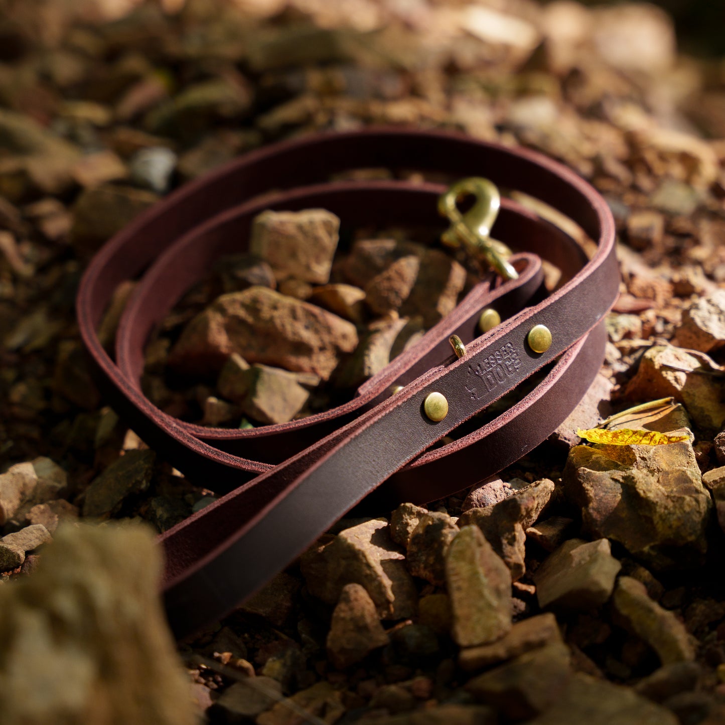 Brown leather belt with gold studs on a rocky surface Garnet Eclipse Terra lifestyle