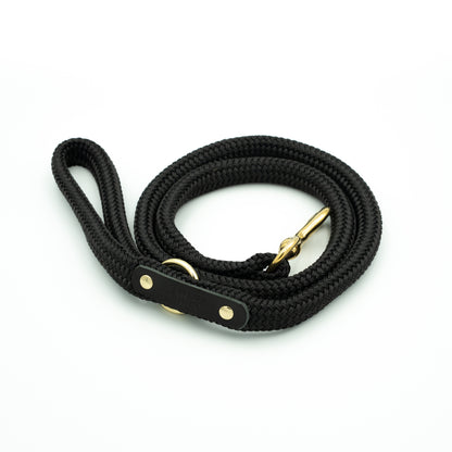 Black rope leash with gold hardware on a white background - Color Eclipse