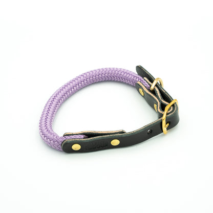 Dog collar with purple rope and black leather strap on a white background Aurora