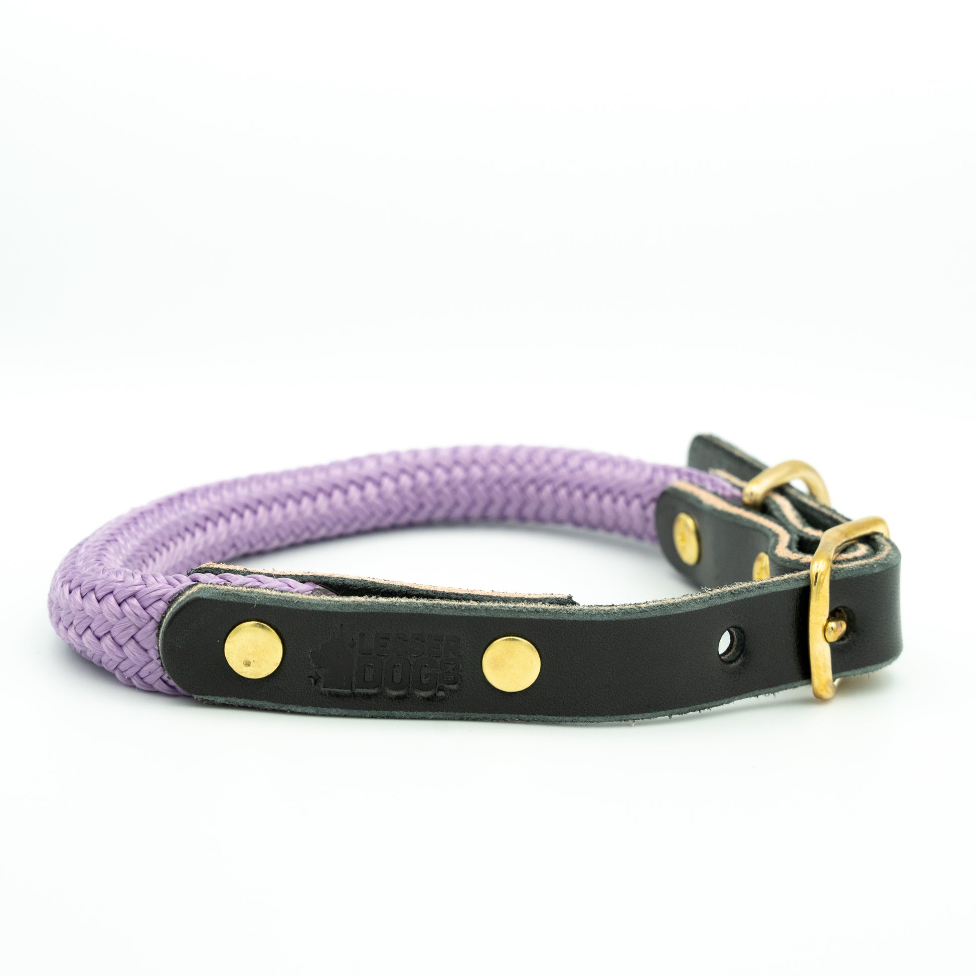 Dog collar with purple rope and black leather strap on a white background Aurora