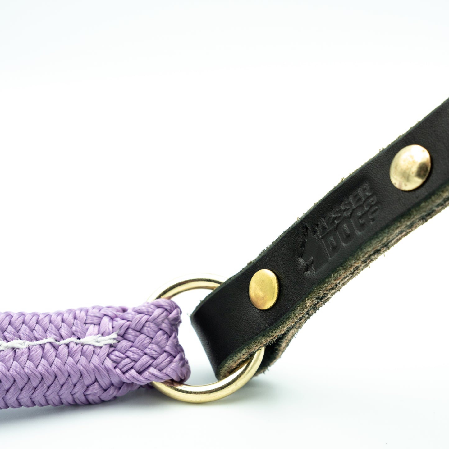 Black leather dog leash with purple rope and gold ring on a white background Aurora