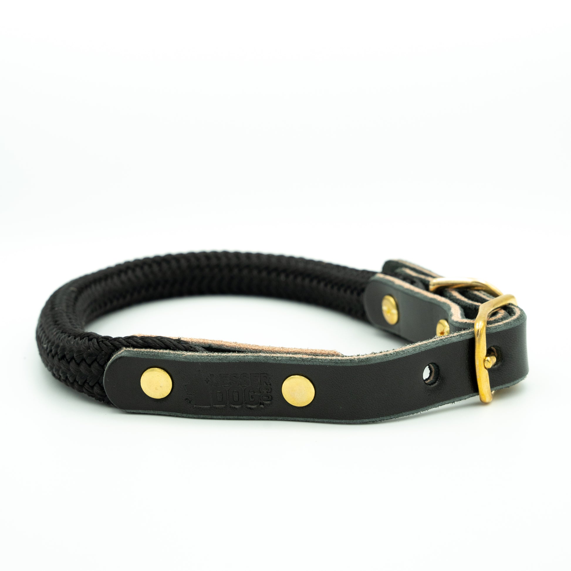 Black rope and leather dog collar with gold hardware on a white background Eclipse
