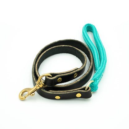 Black leather dog leash with gold hardware and a turquoise rope handle on a white background Glacier