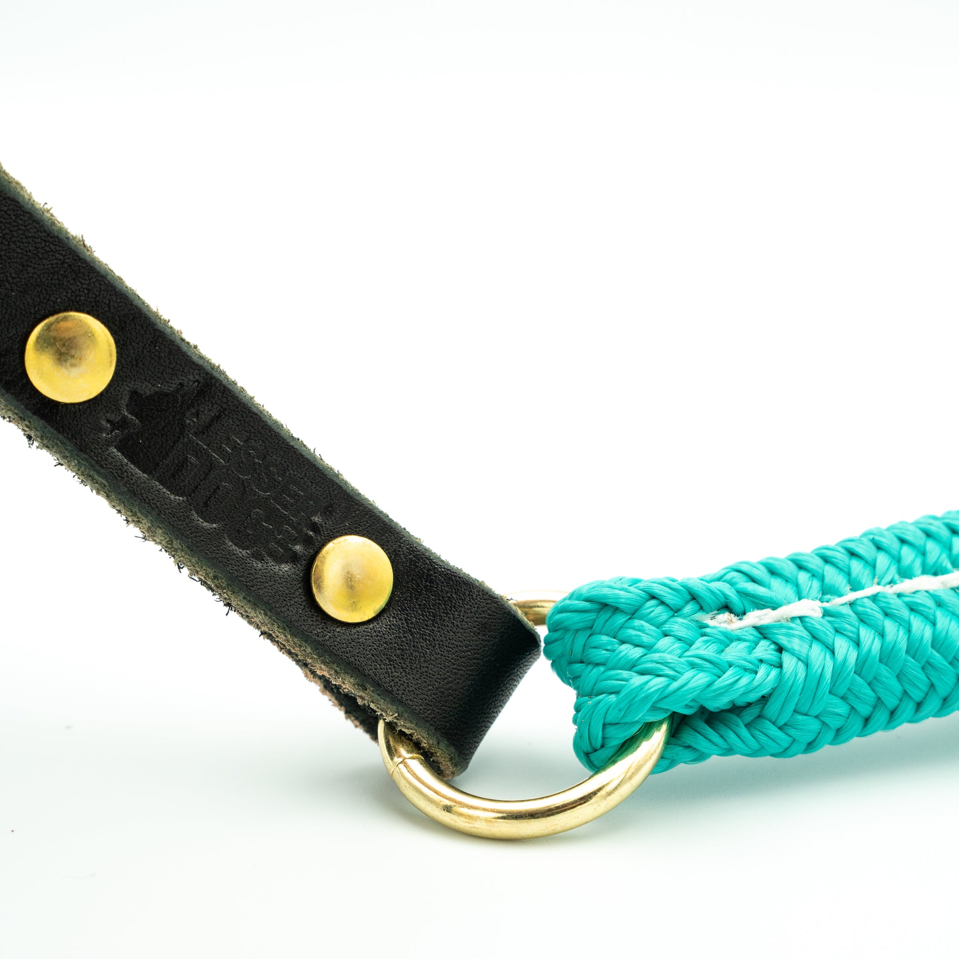 Black leather dog leash with gold studs and a turquoise rope, on a white background Glacier