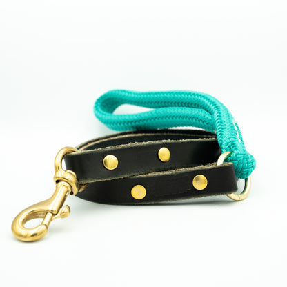 Dog leash with turquoise rope handle and black leather strap with gold hardware on a white background Glacier