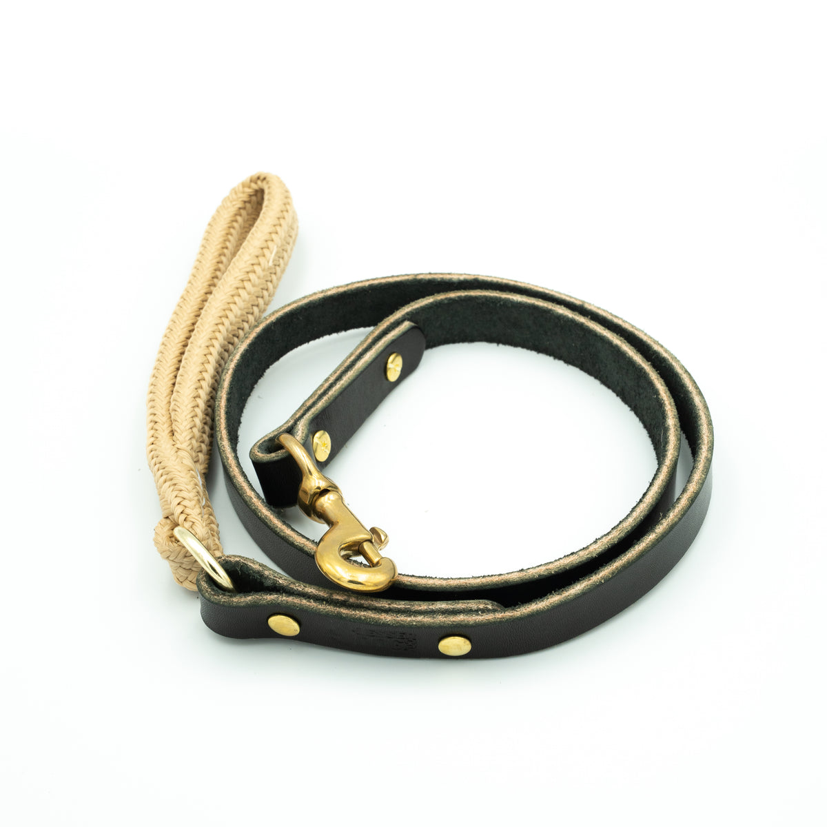 Equinox - Hybrid Leash