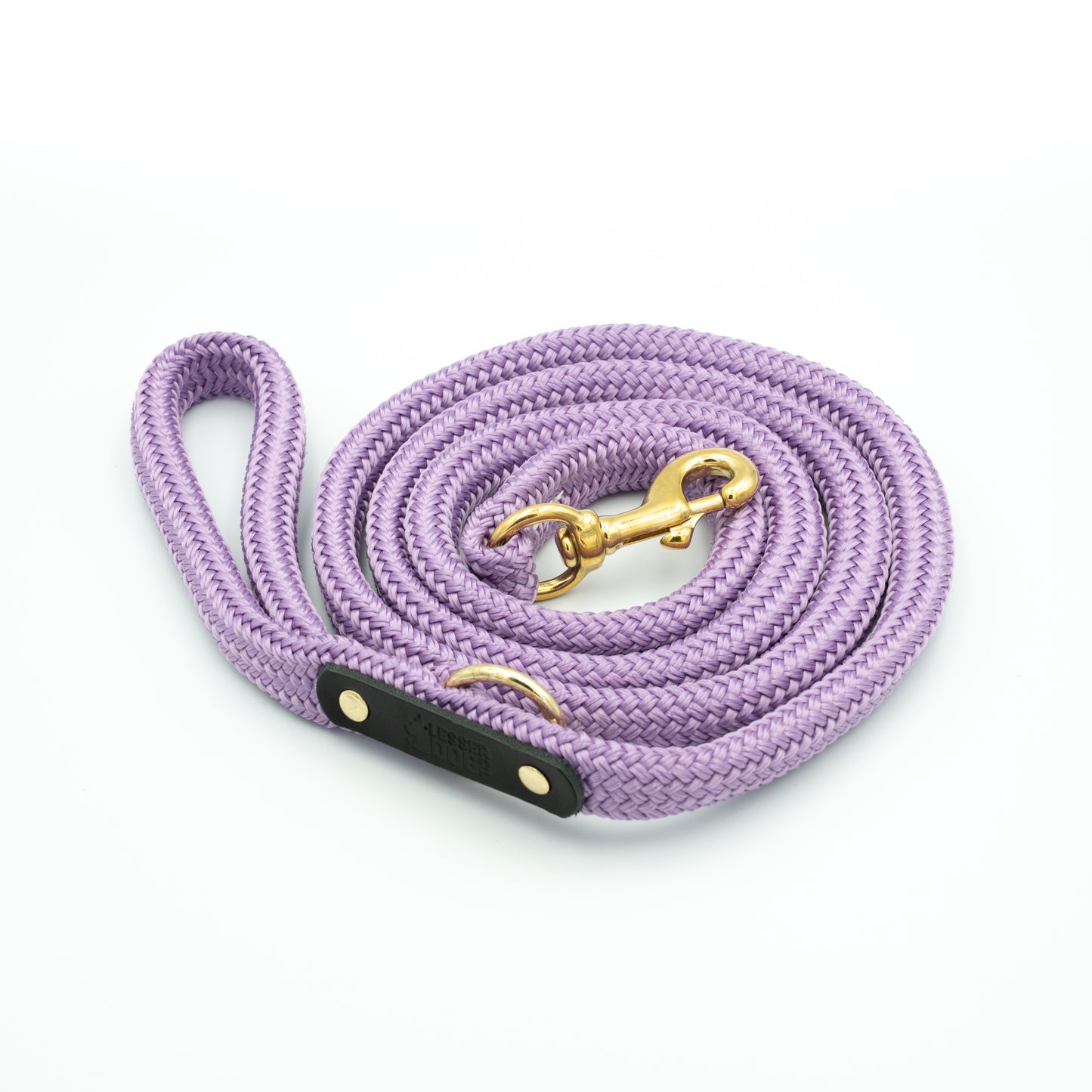Purple dog leash with gold clasp on a white background - Color Aurora