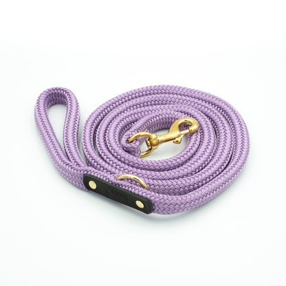 Purple dog leash with gold clasp on a white background - Color Aurora