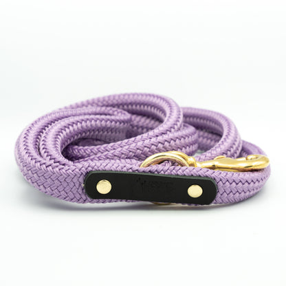 Purple dog leash with black handle and gold hardware on a white background - Color Aurora