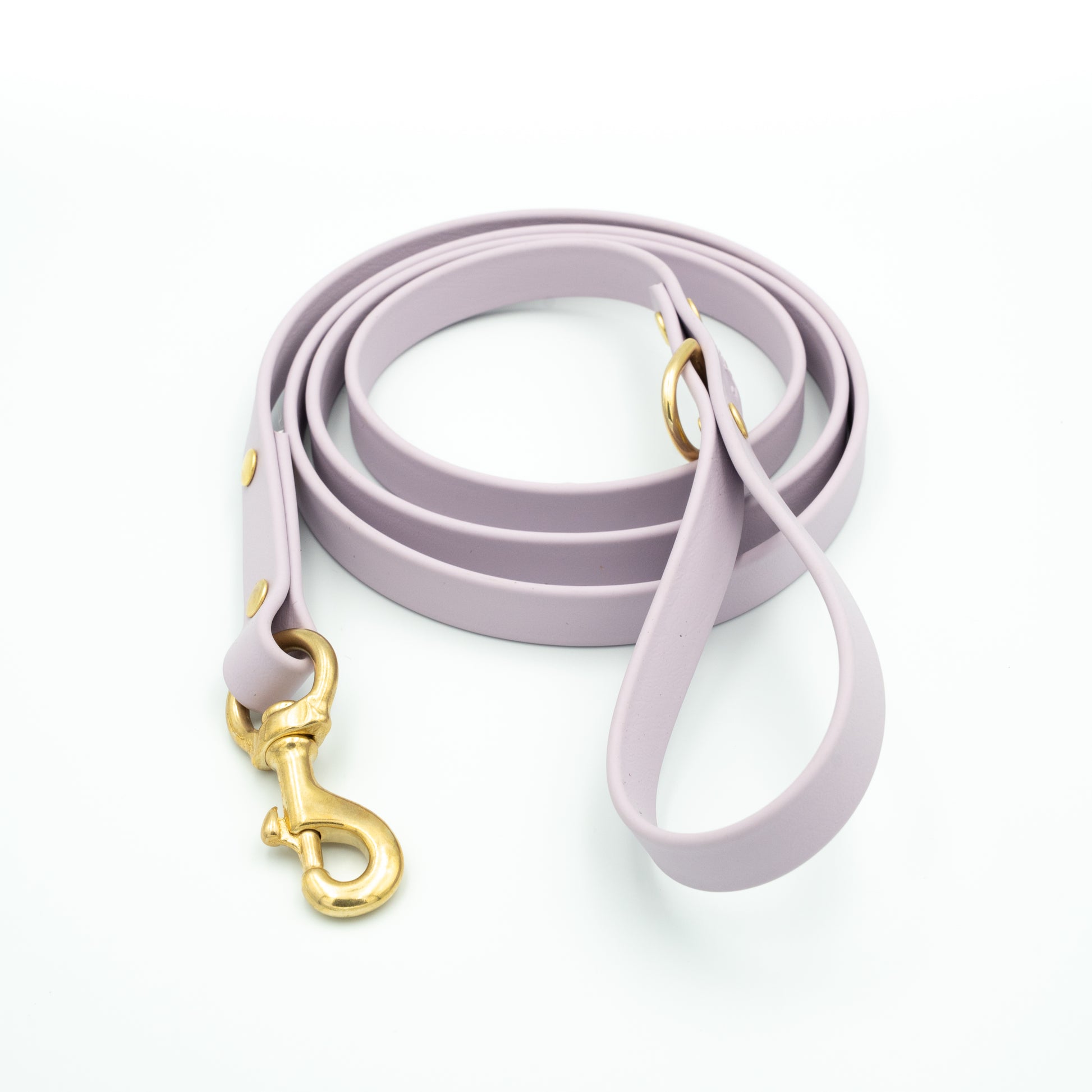 Purple dog leash with gold clasp on a white background Aurora