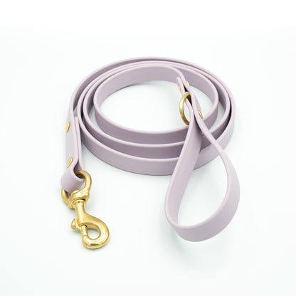 Purple dog leash with gold clasp on a white background Aurora