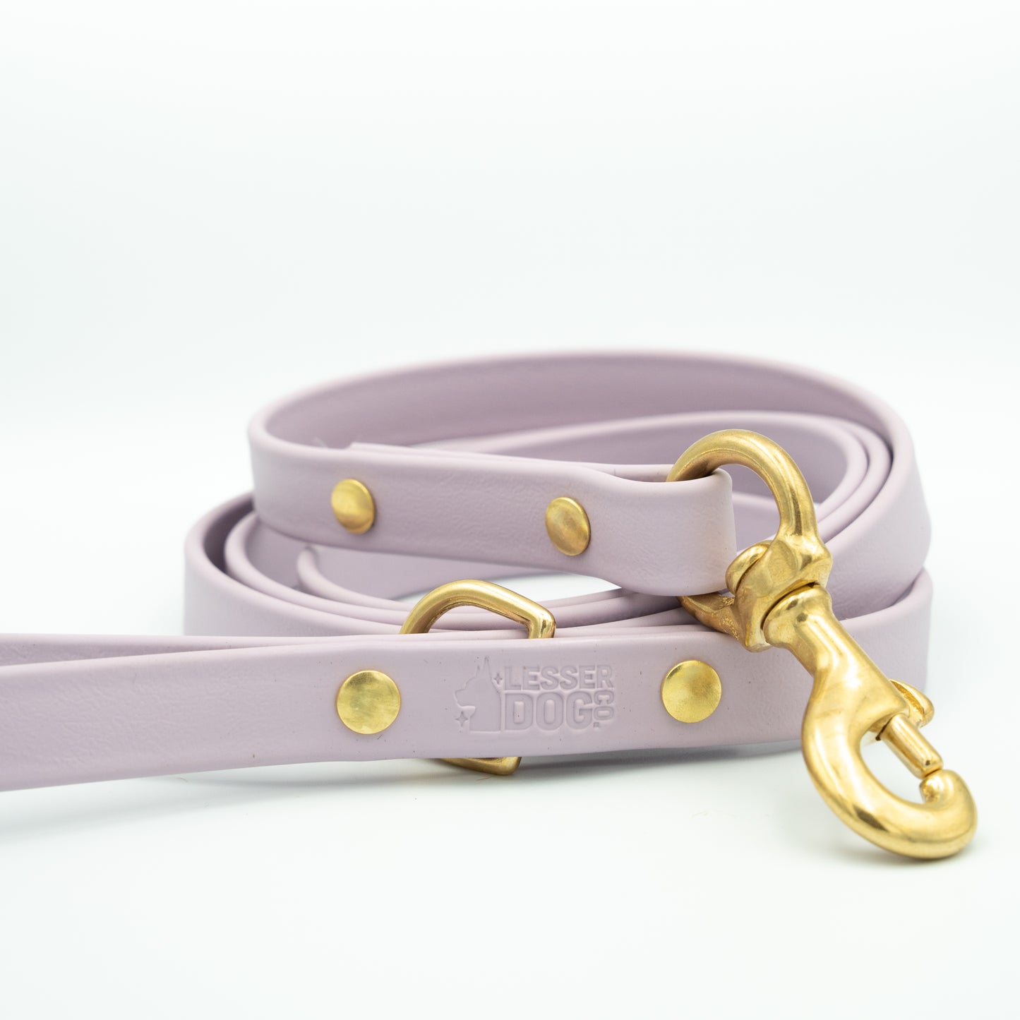 Purple dog leash with gold hardware on a white background Aurora