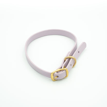 Purple belt with a gold buckle on a white background Aurora