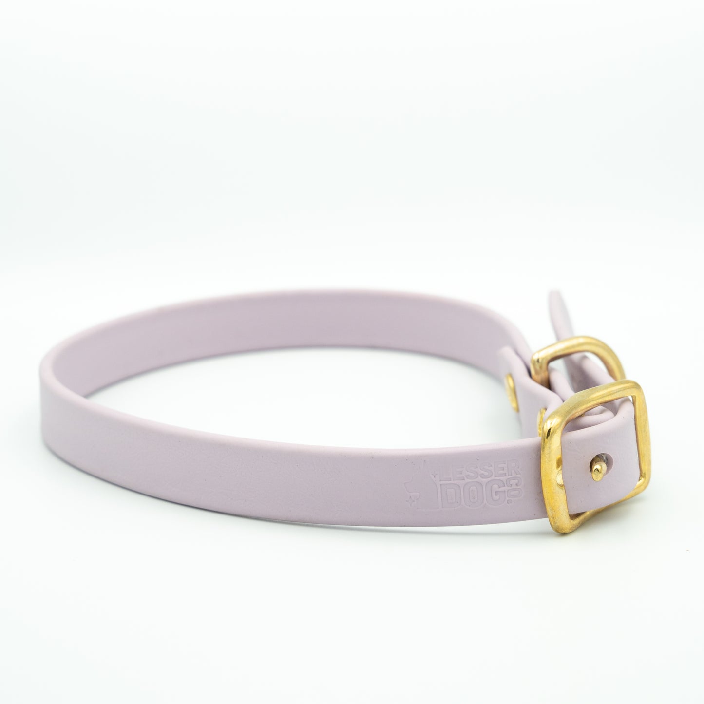 Purple dog collar with a gold buckle on a white background Aurora