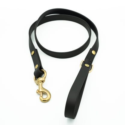 Black dog leash with gold hardware on a white background Eclipse