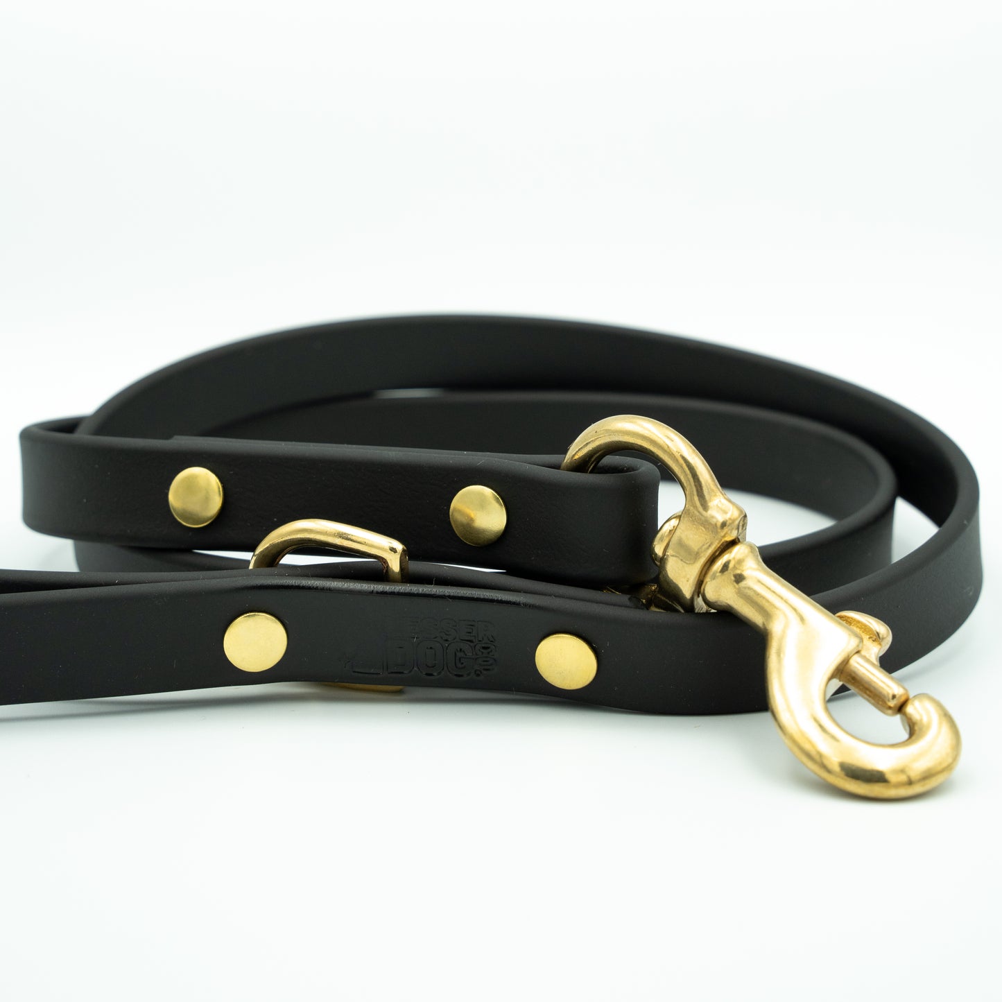 Black leather dog leash with gold hardware on a white background Eclipse