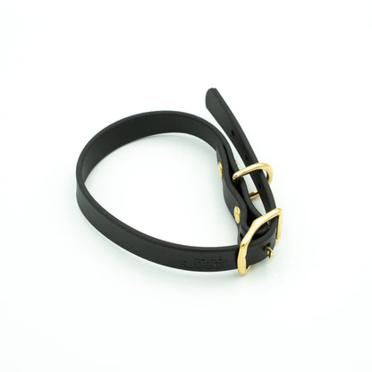 Black biothane dog collar with a gold buckle on a white background Eclipse