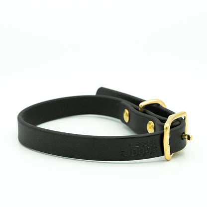 Black leather dog collar with gold buckle on a white background Eclipse