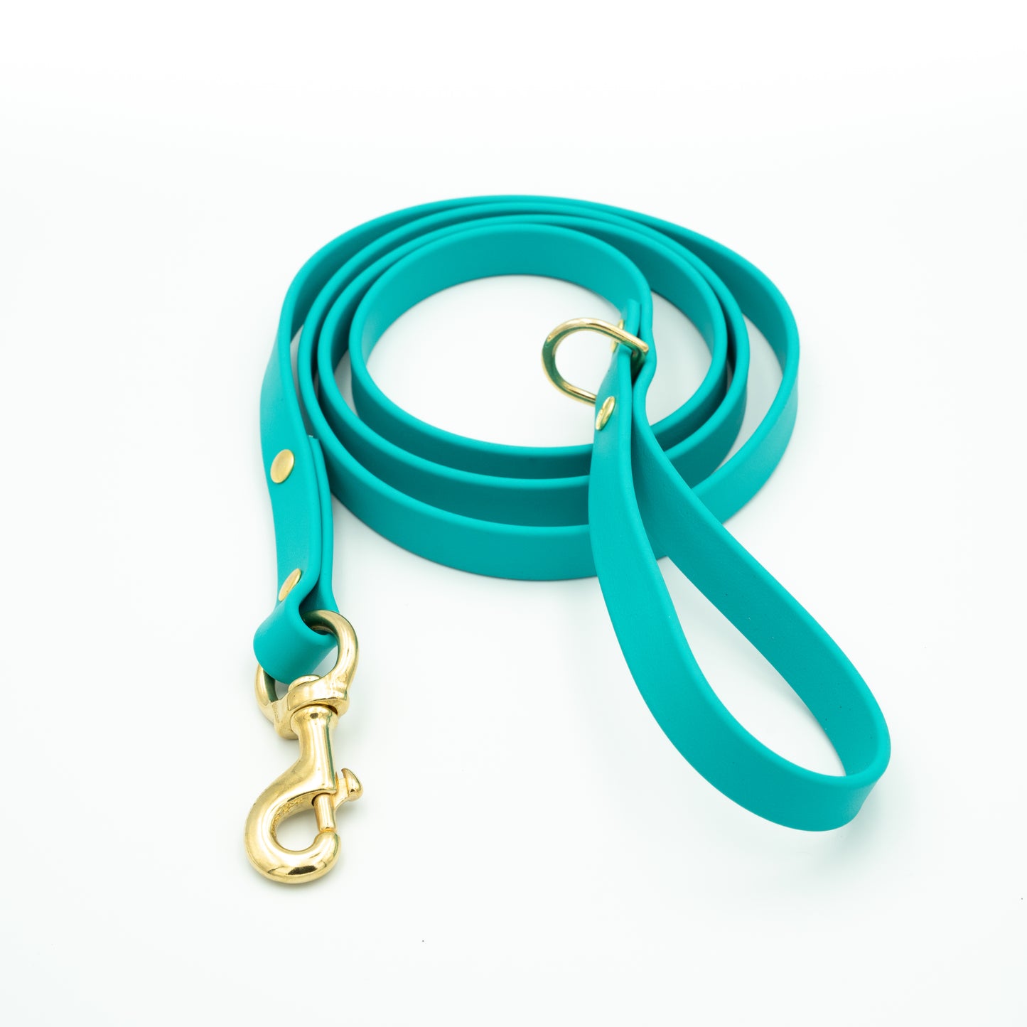 Turquoise dog leash with gold hardware on a white background Glacier