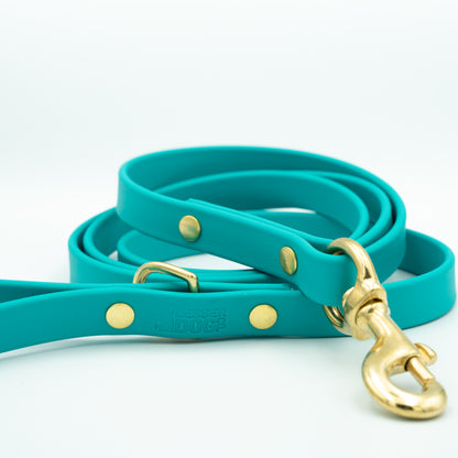 Teal dog leash with gold hardware on a white background Glacier