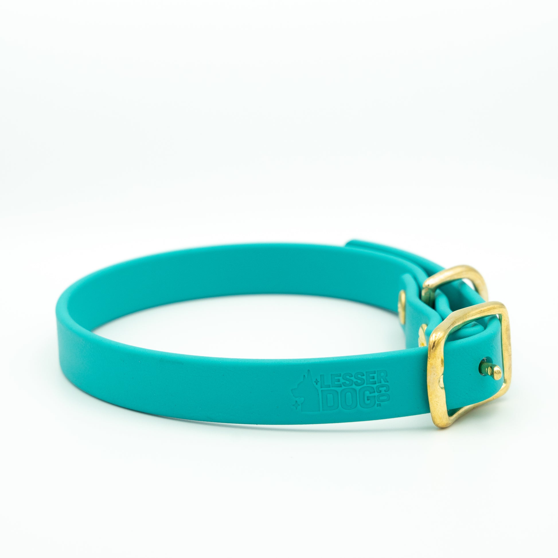 Teal dog collar with a gold buckle on a white background Glacier