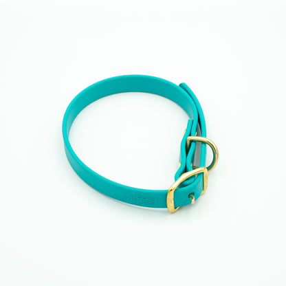 Teal dog collar with a gold buckle on a white background Glacier