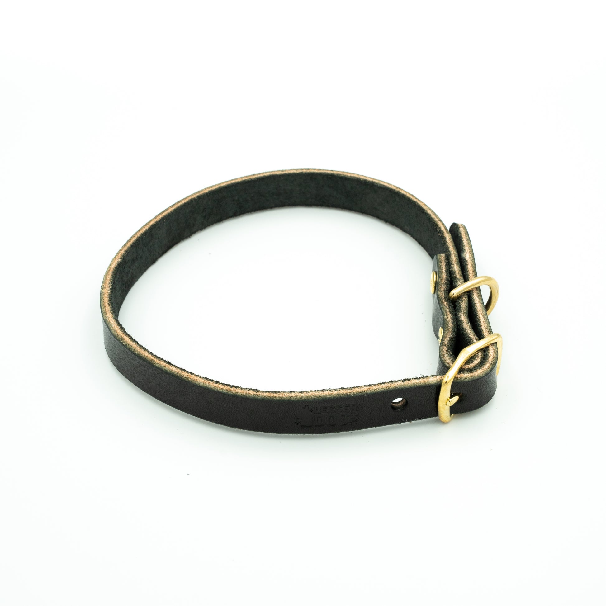 Black leather dog collar with a gold clasp on a white background - Eclipse