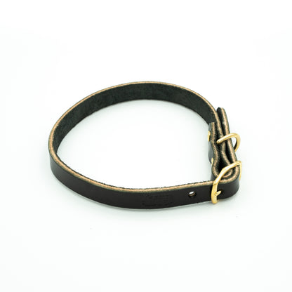 Black leather dog collar with a gold clasp on a white background - Eclipse