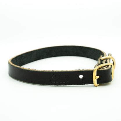 Black leather dog collar with a brass buckle on a white background - Eclipse