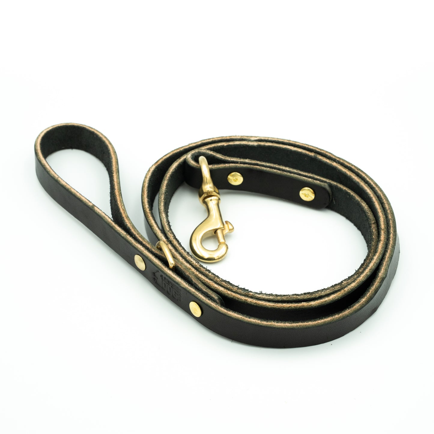 Black leather dog leash with brass hardware on a white background - Eclipse