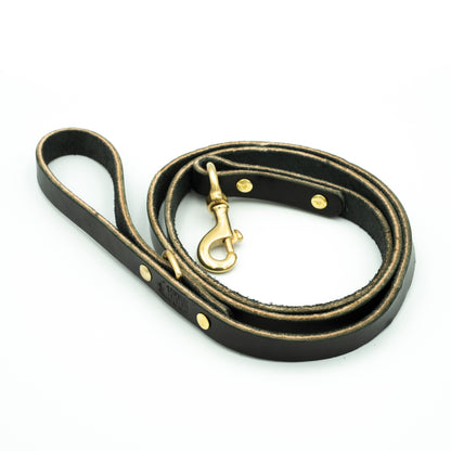 Black leather dog leash with brass hardware on a white background - Eclipse