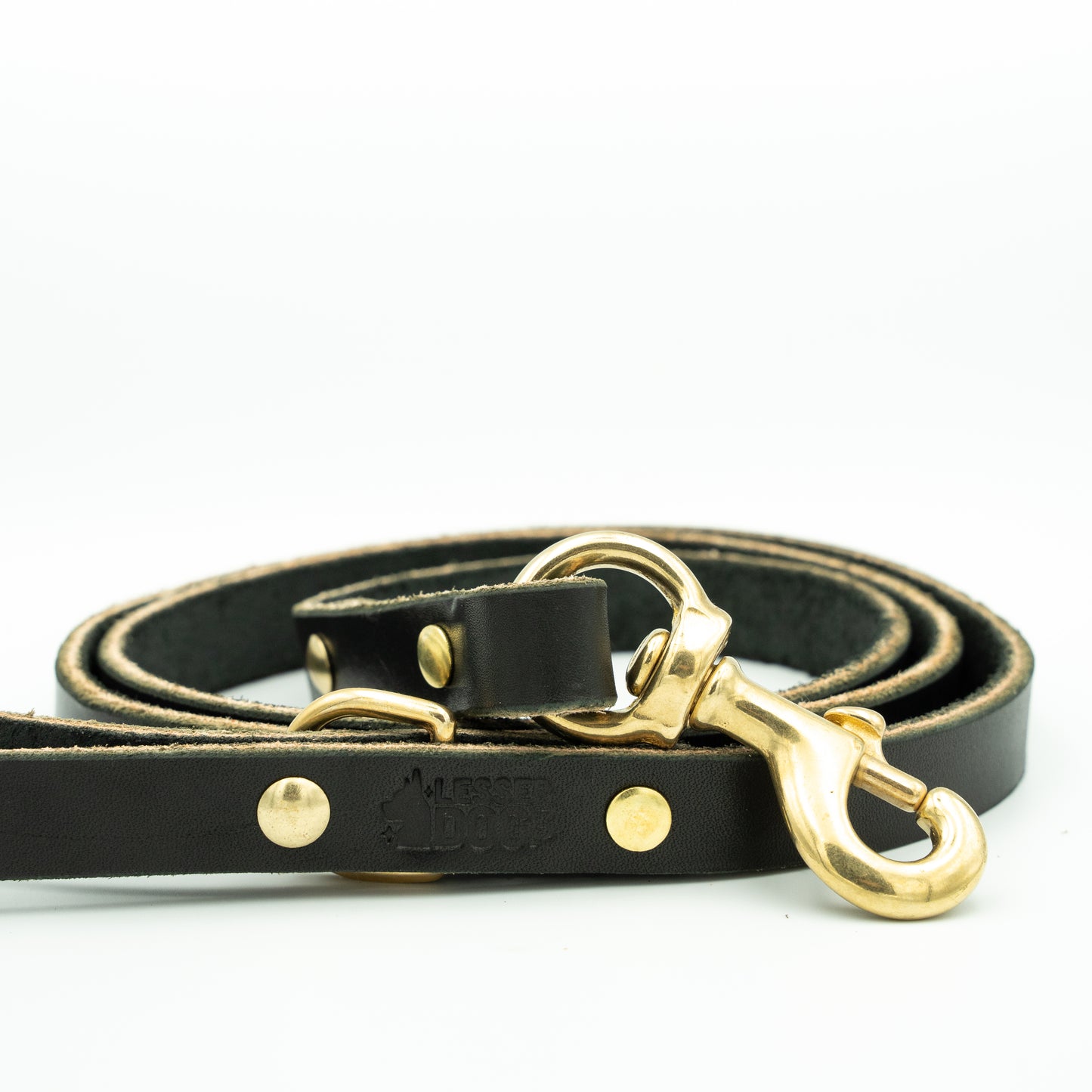 Black leather dog leash with gold hardware on a white background - Eclipse
