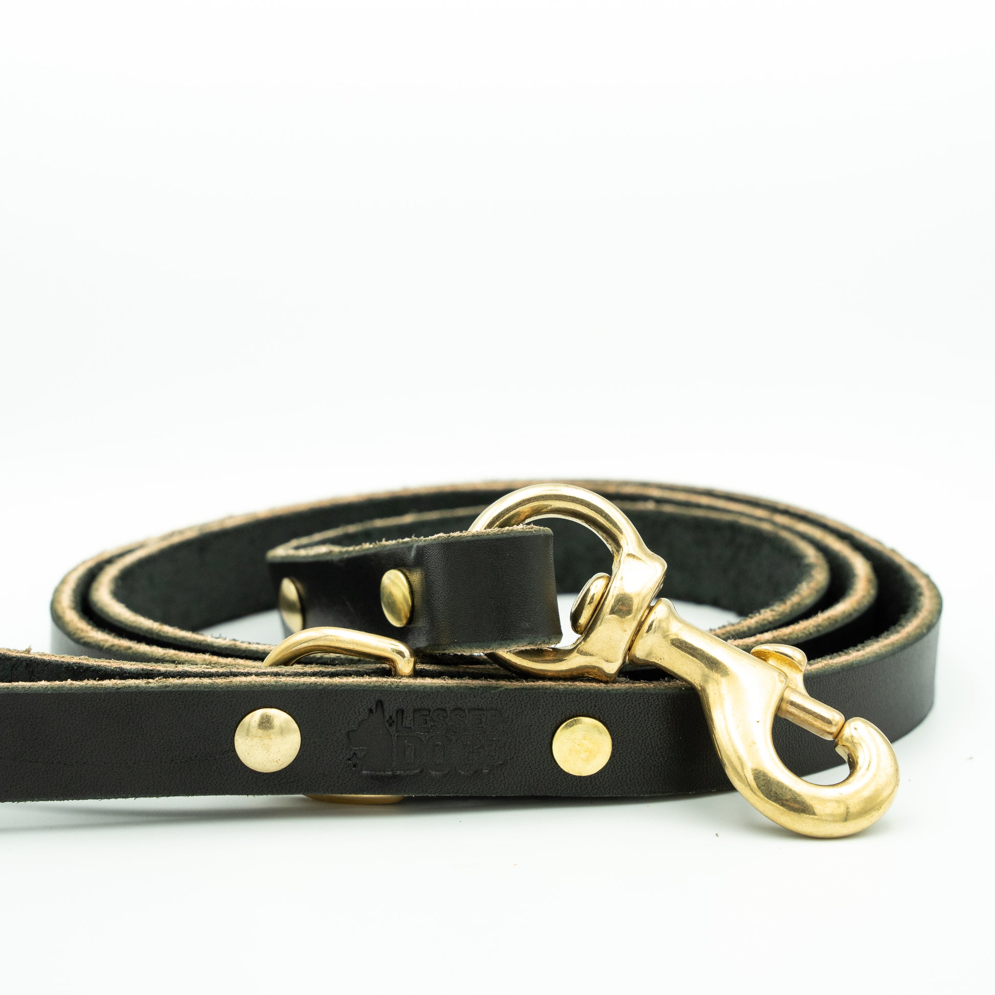 Black leather dog leash with gold hardware on a white background - Eclipse