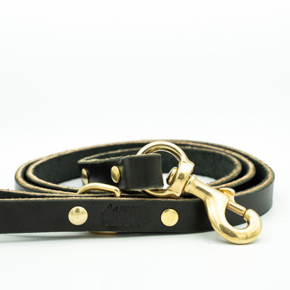 Black leather dog leash with gold hardware on a white background - Eclipse