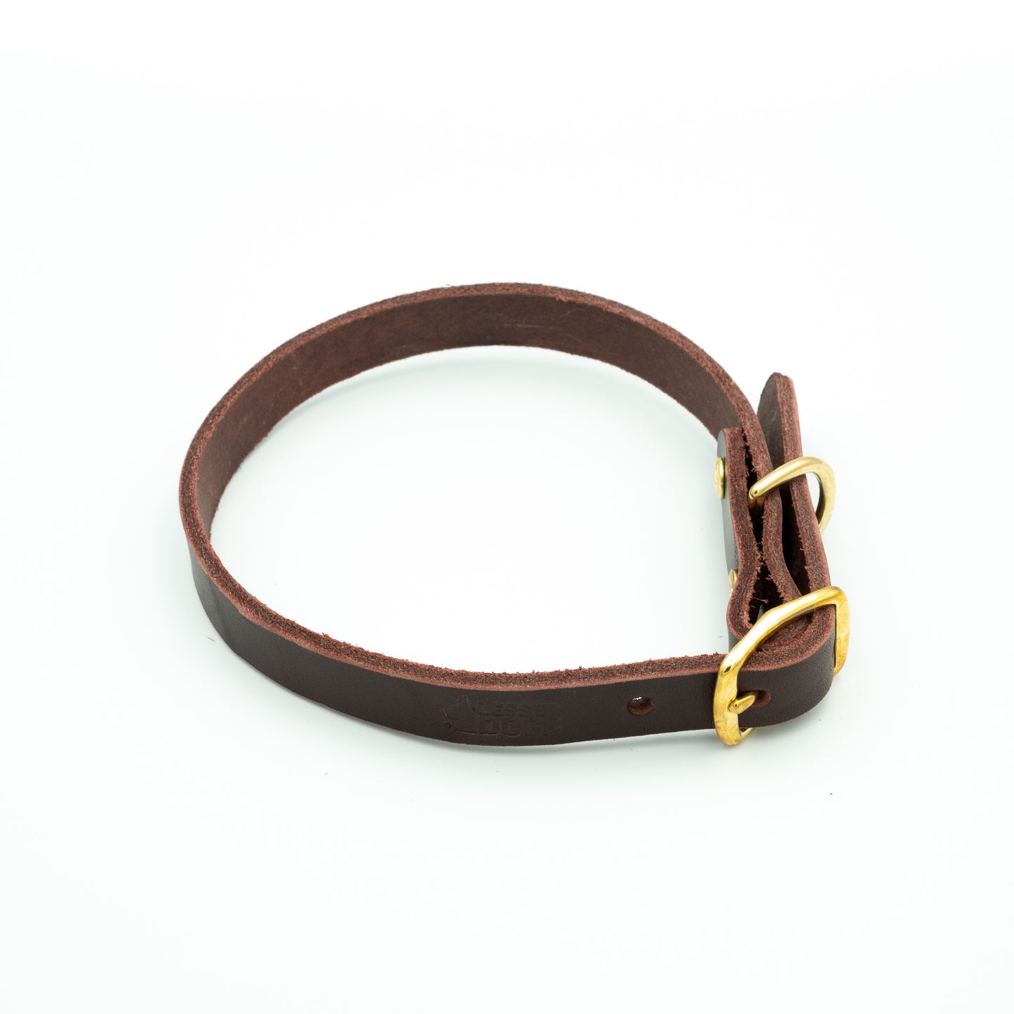Brown leather dog collar with a gold buckle on a white background - Garnet