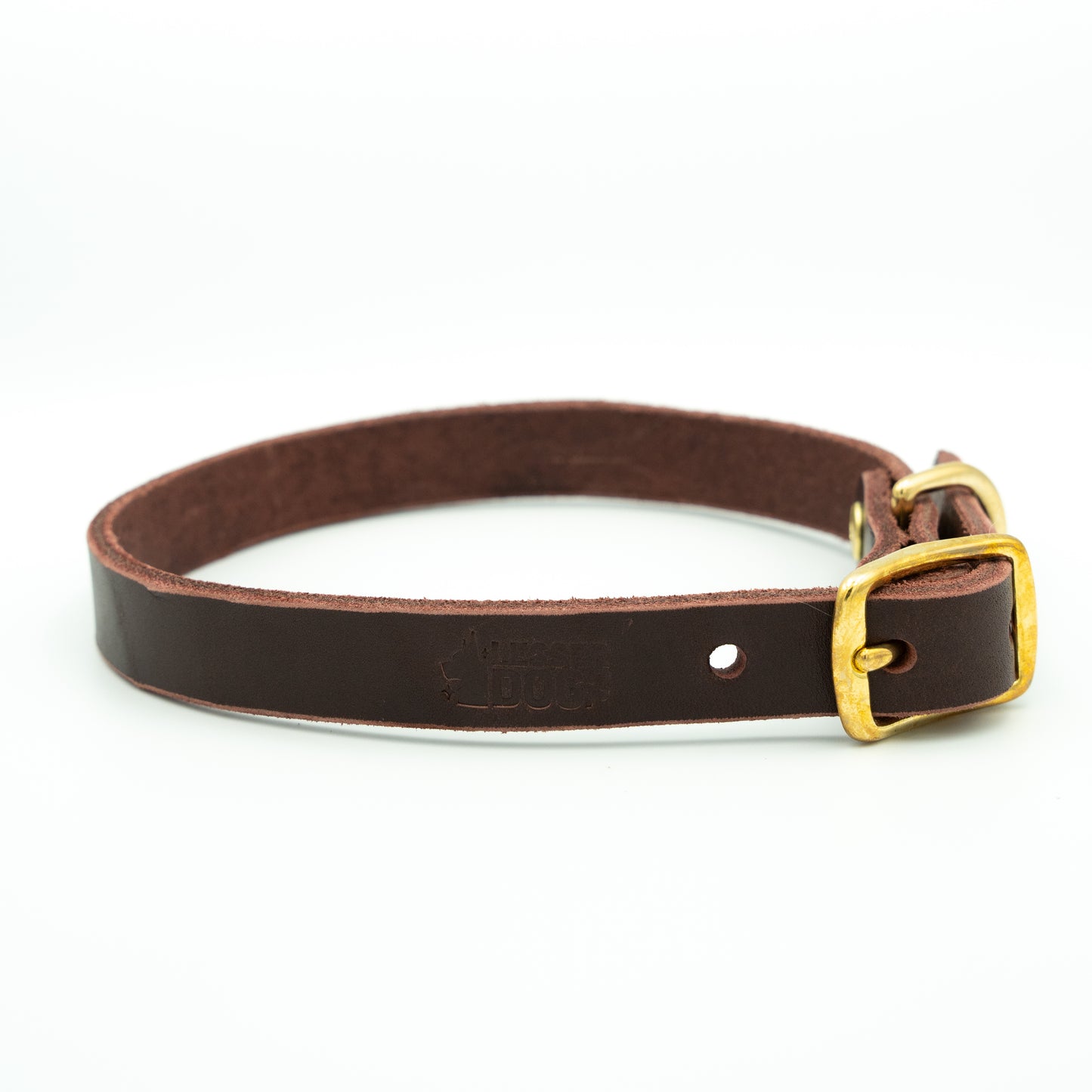 Brown leather dog collar with a gold buckle on a white background - Garnet