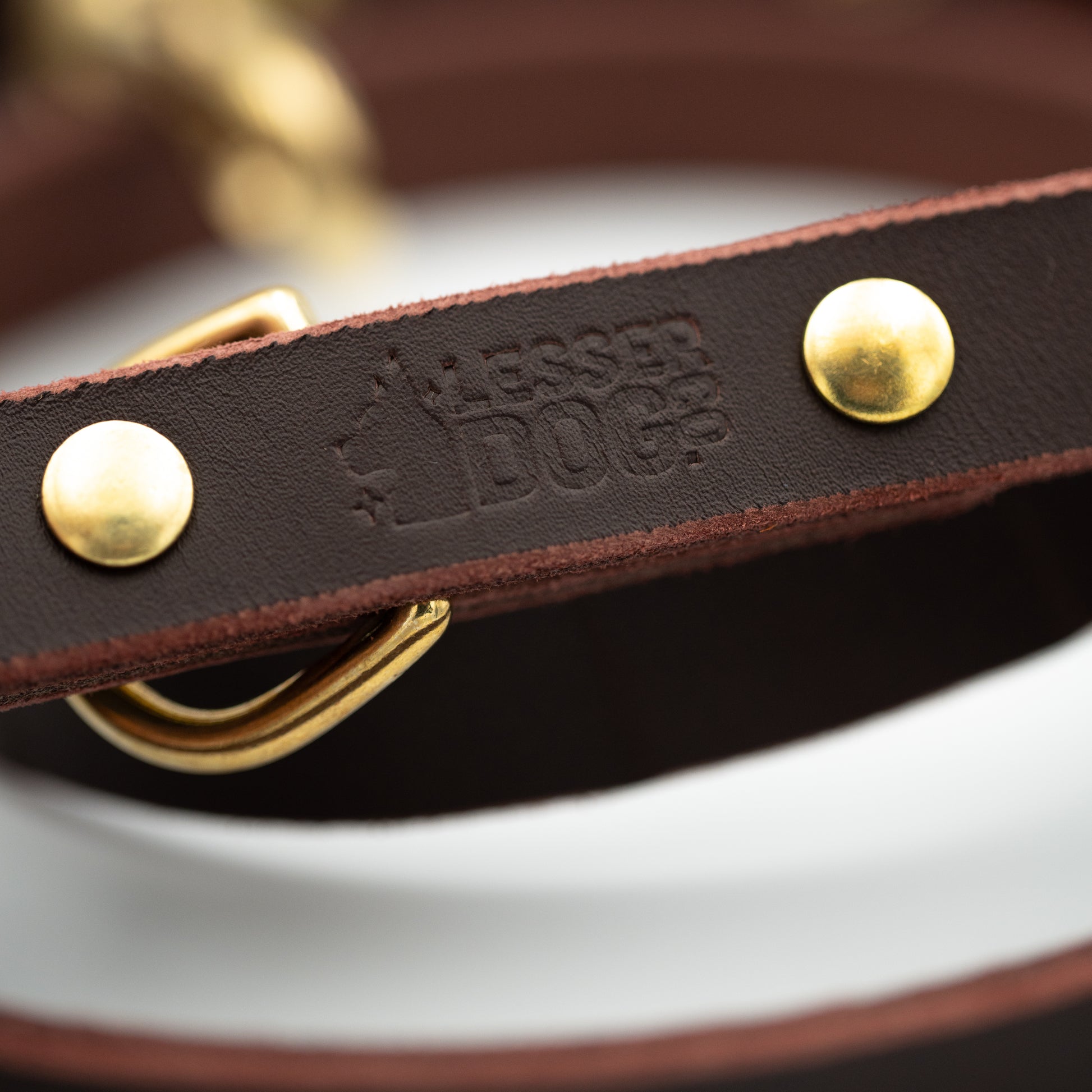 Brown leather dog collar with gold studs and ring, featuring The Lesser Dog Brand - Garnet Eclipse Terra