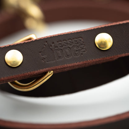Brown leather dog collar with gold studs and ring, featuring The Lesser Dog Brand - Garnet Eclipse Terra