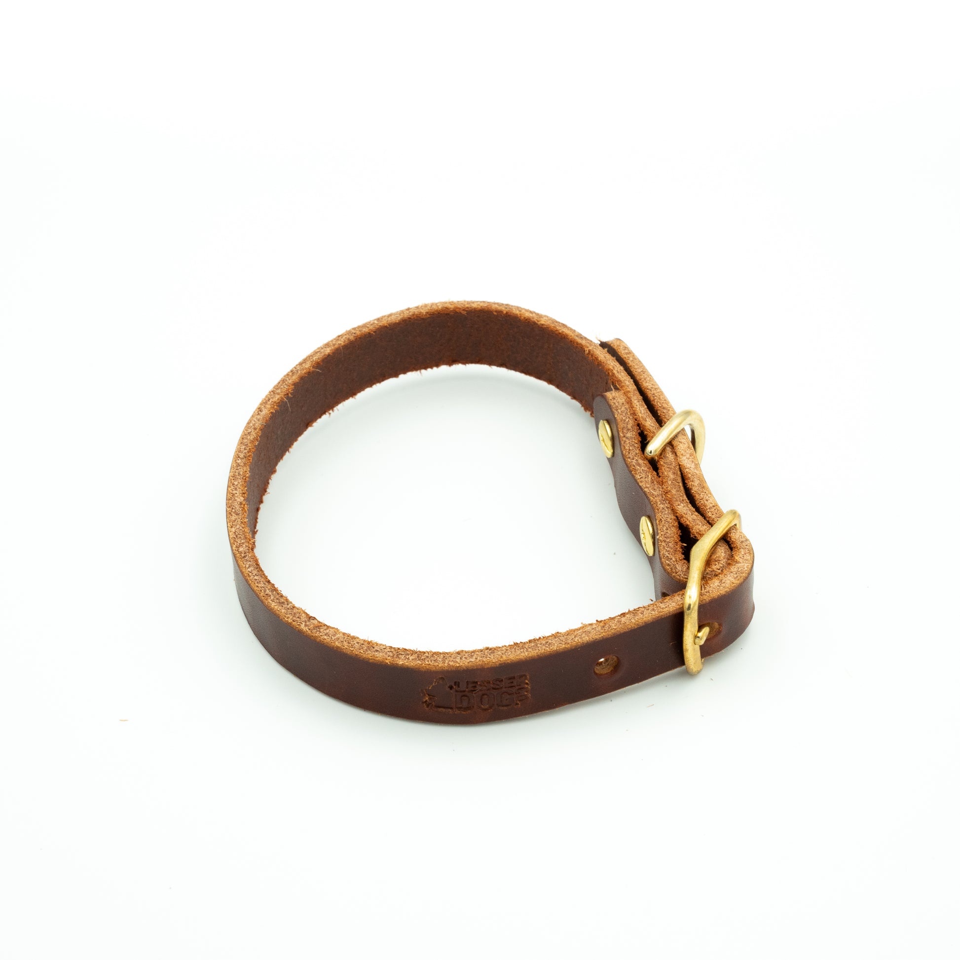 Brown leather dog collar with gold accents on a white background - Terra