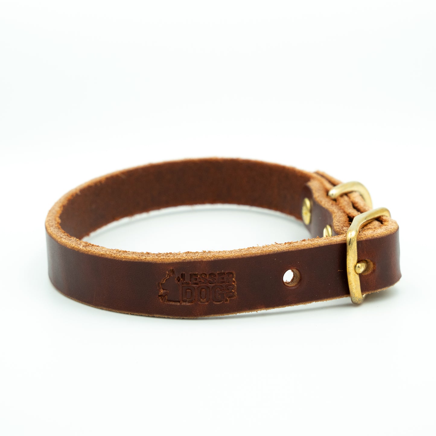 Brown leather dog collar with gold buckle on a white background - Terra
