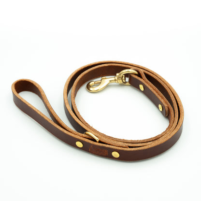 Brown leather dog leash with gold hardware on a white background - Terra
