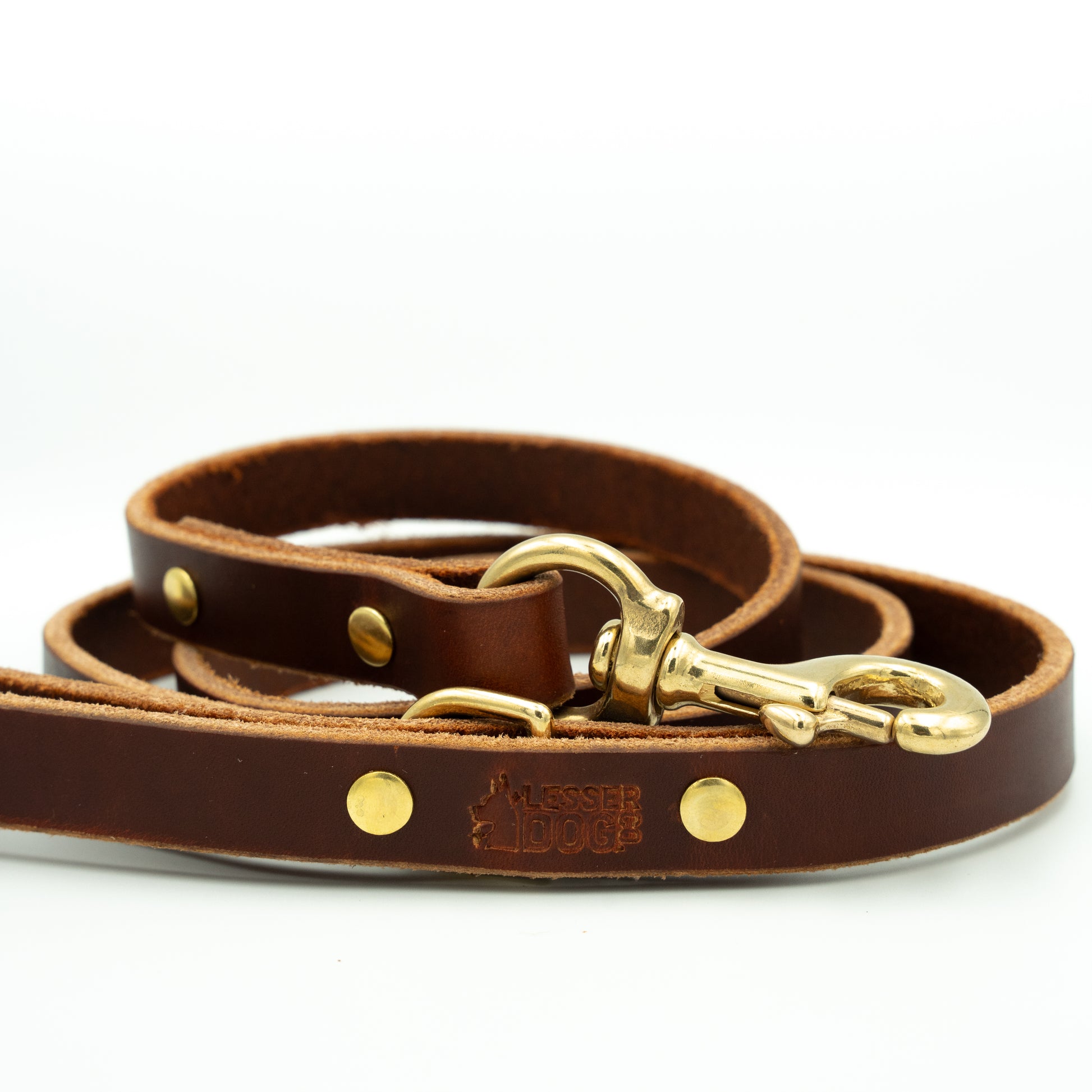 Brown leather dog leash with gold hardware on a white background - Terra