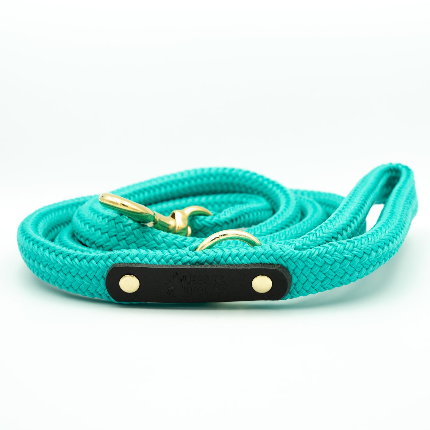 Turquoise dog leash with gold clasp and black leather patch on a white background - Color Glacier