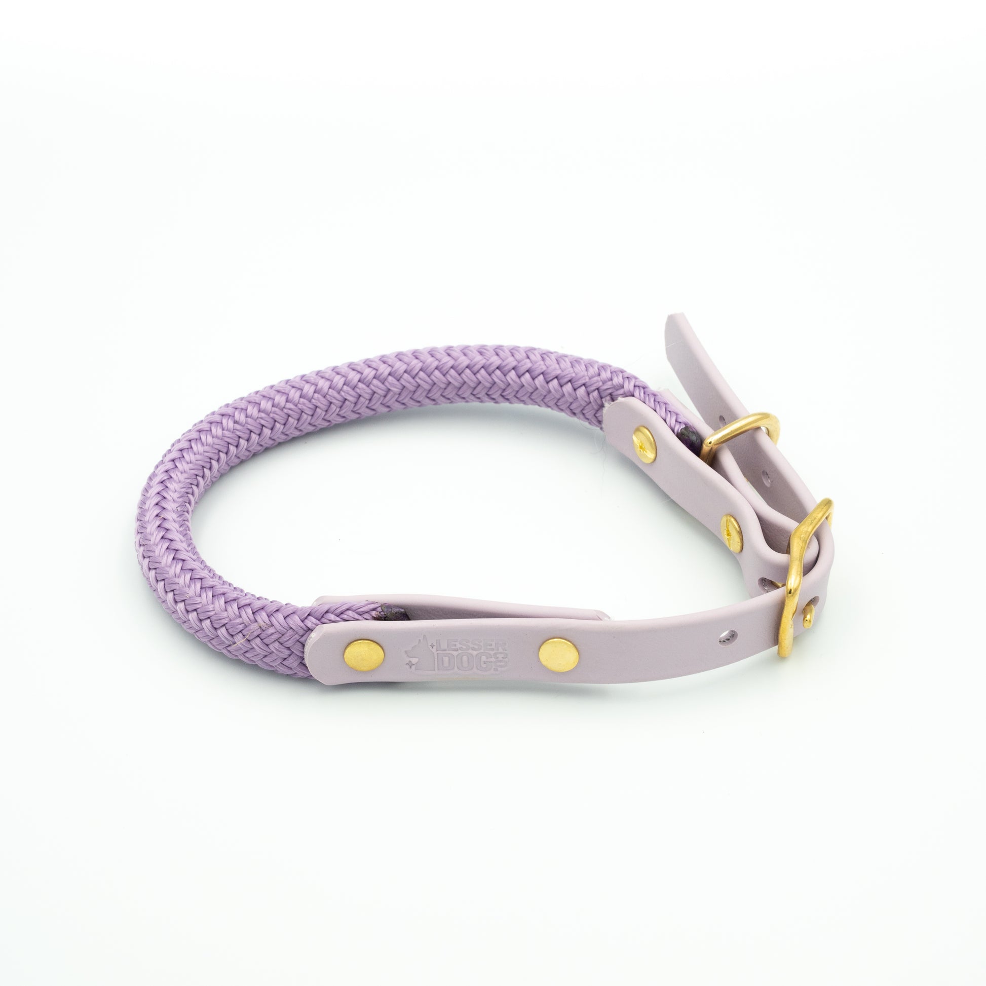 Purple dog collar with gold accents on a white background Aurora