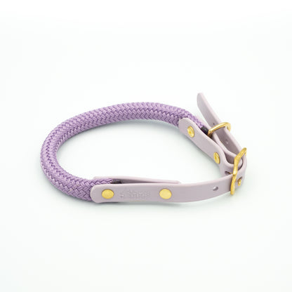 Purple dog collar with gold accents on a white background Aurora