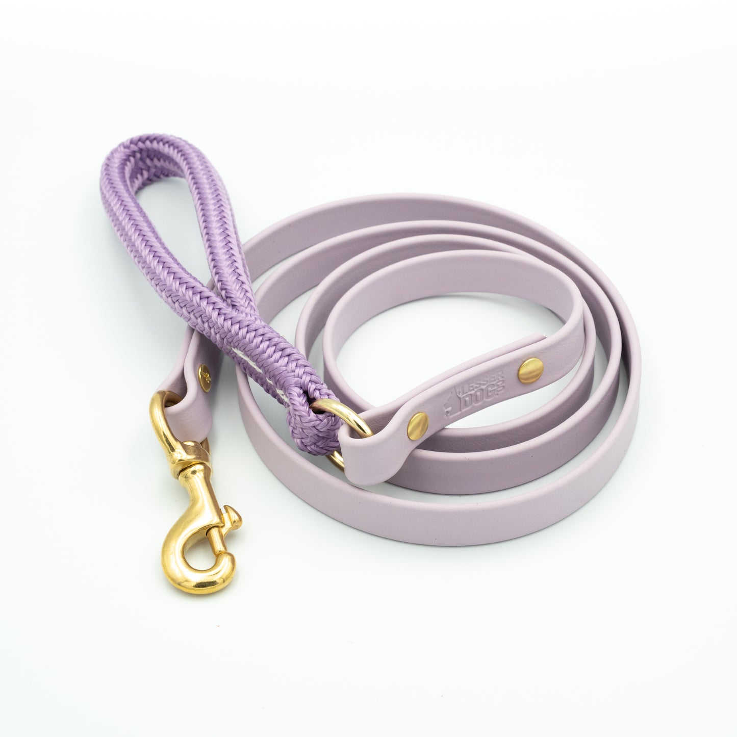 Purple dog leash with gold clasp on a white background Aurora