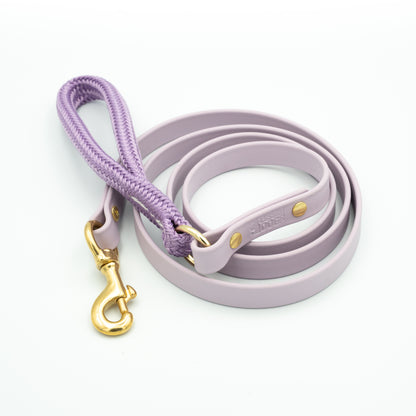 Purple dog leash with gold clasp on a white background Aurora