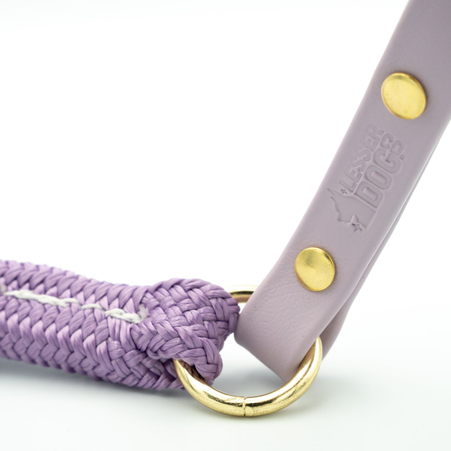 Purple dog leash with gold ring and brass hardware on a white background Aurora